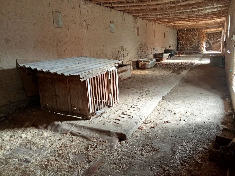 Xovli sotiladi. Yer xisobida.