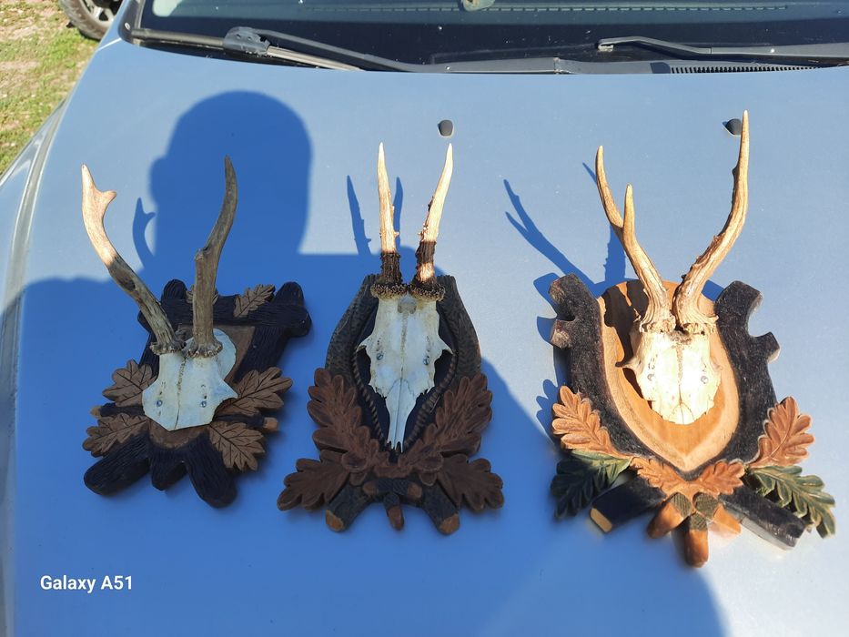 Елински рога. Трофей