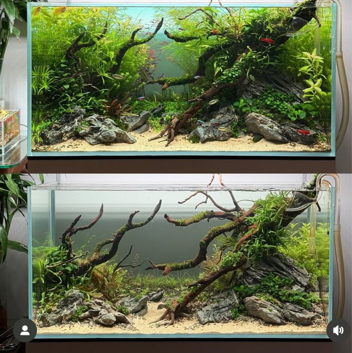 Палюдариум /Palydarium