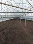 solare legume 60 ron
