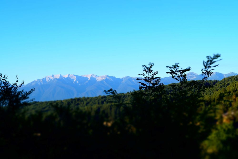 Фотоапарат Sony Alpha 58