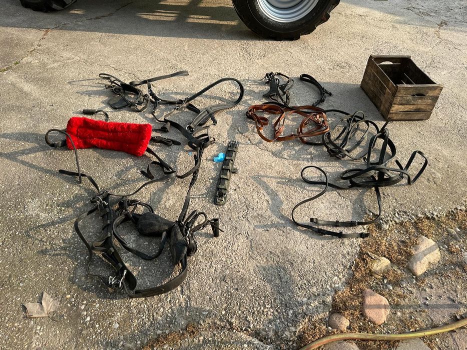 Șareta + Hamuri piele