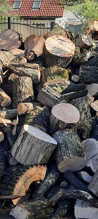 Lemne de foc esenta tare