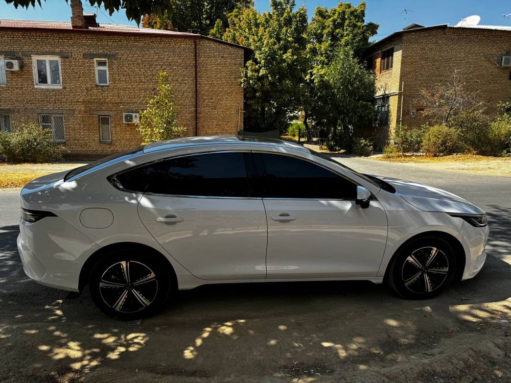 BYD Chazor full 4 pozitsiya
