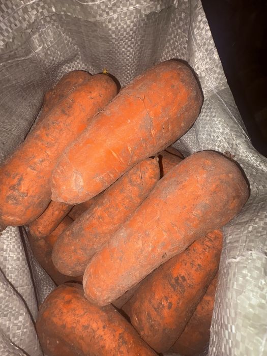 Продам салатную морковь! 60 тенге