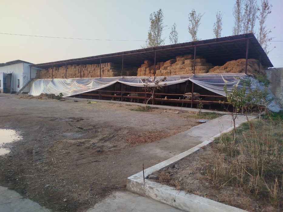 Ишлаб турган ферма сотилади