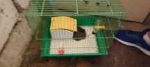 Cușcă  pentru hamsteri