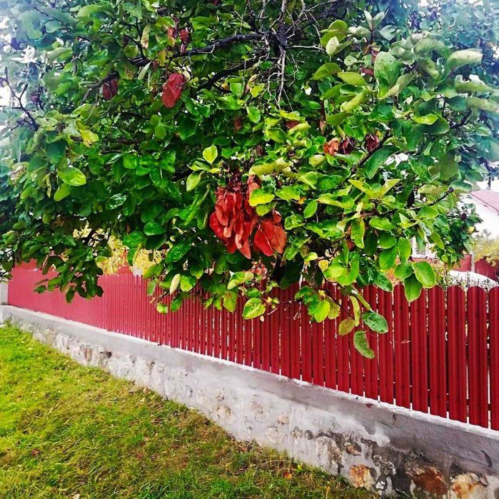 Garduri si porti din panou stil jaluzele, sipca metalica, plasa si BCA