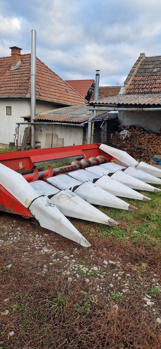 Masa de porumb header porumb oros