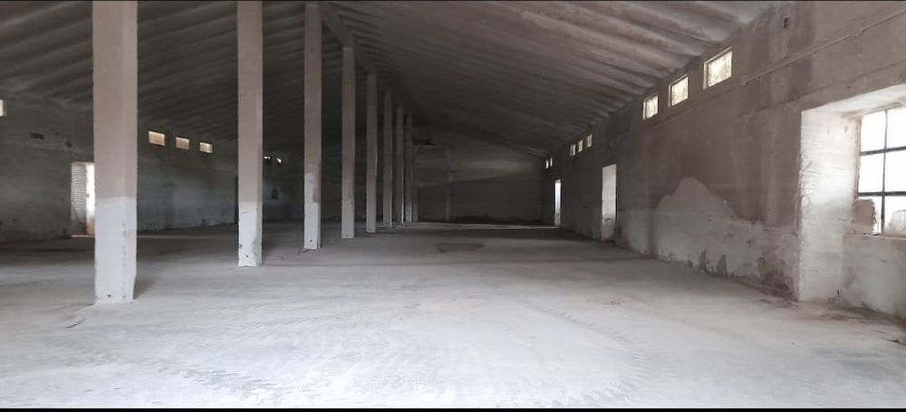 Hale de închiriat,  1000, 700 și 200 mp