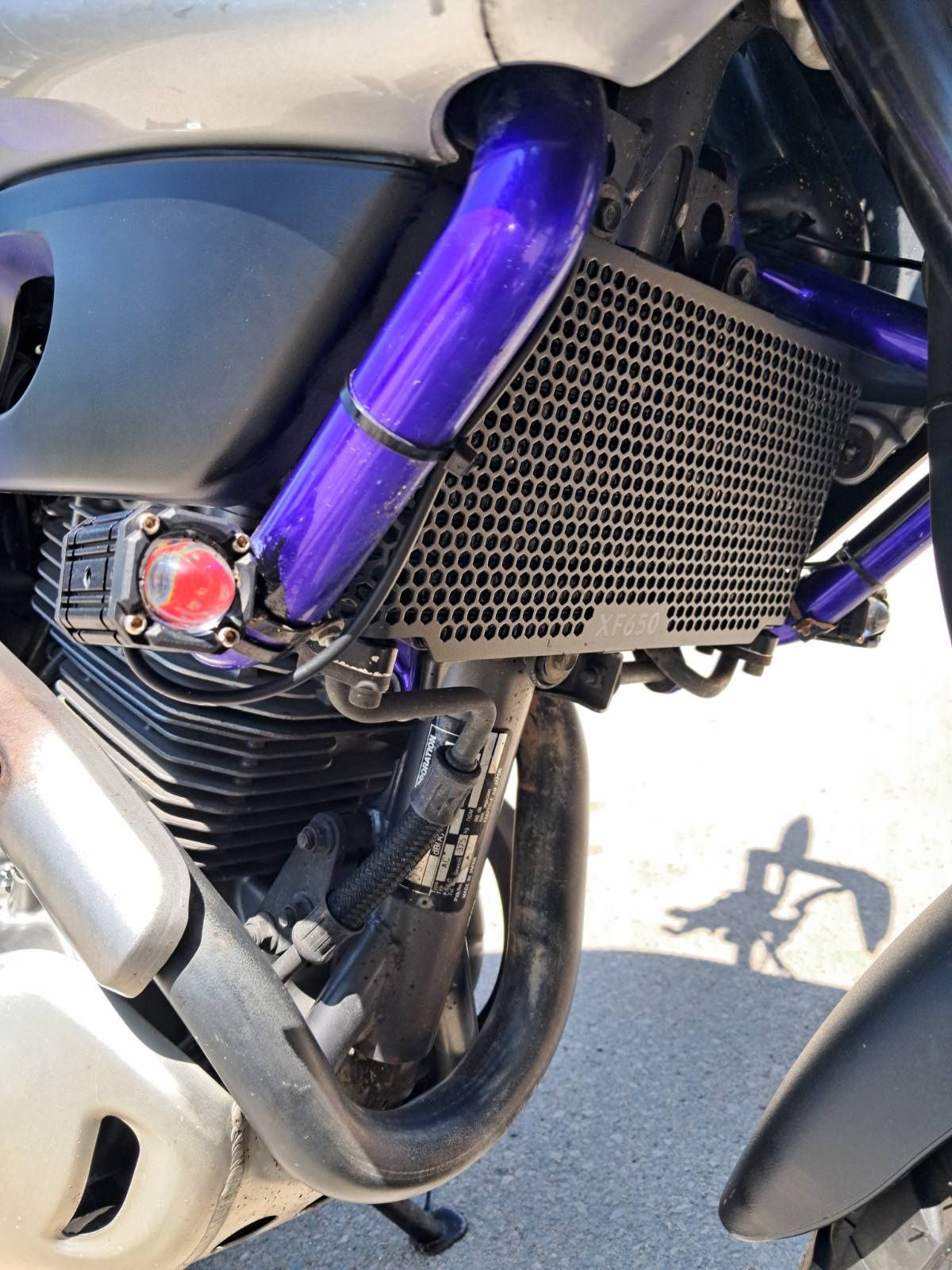 Suzuki xf 650 freewind