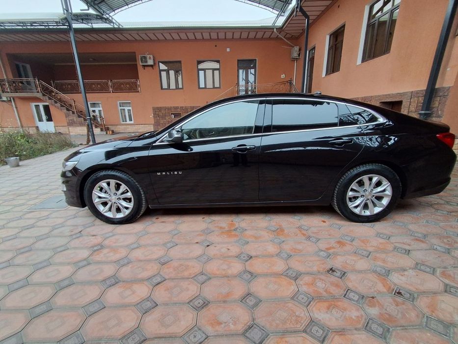 Malibu  ideal  holatda 2019