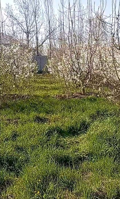 Yangi Toshkentga yaqin joyda Hovli srochno sotiladi