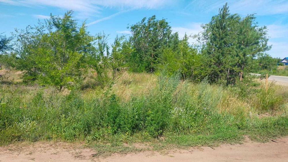 Земельные участки под ИЖС 10,5, 11, 12 соток Мичурино