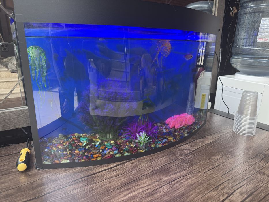 Akvarium srochno sotiladi 45-50 litr