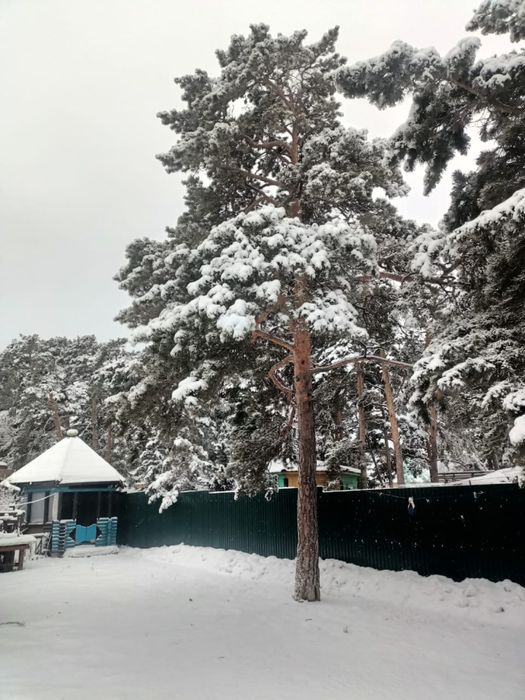 Сдам комнату  комнату в доме отдельно