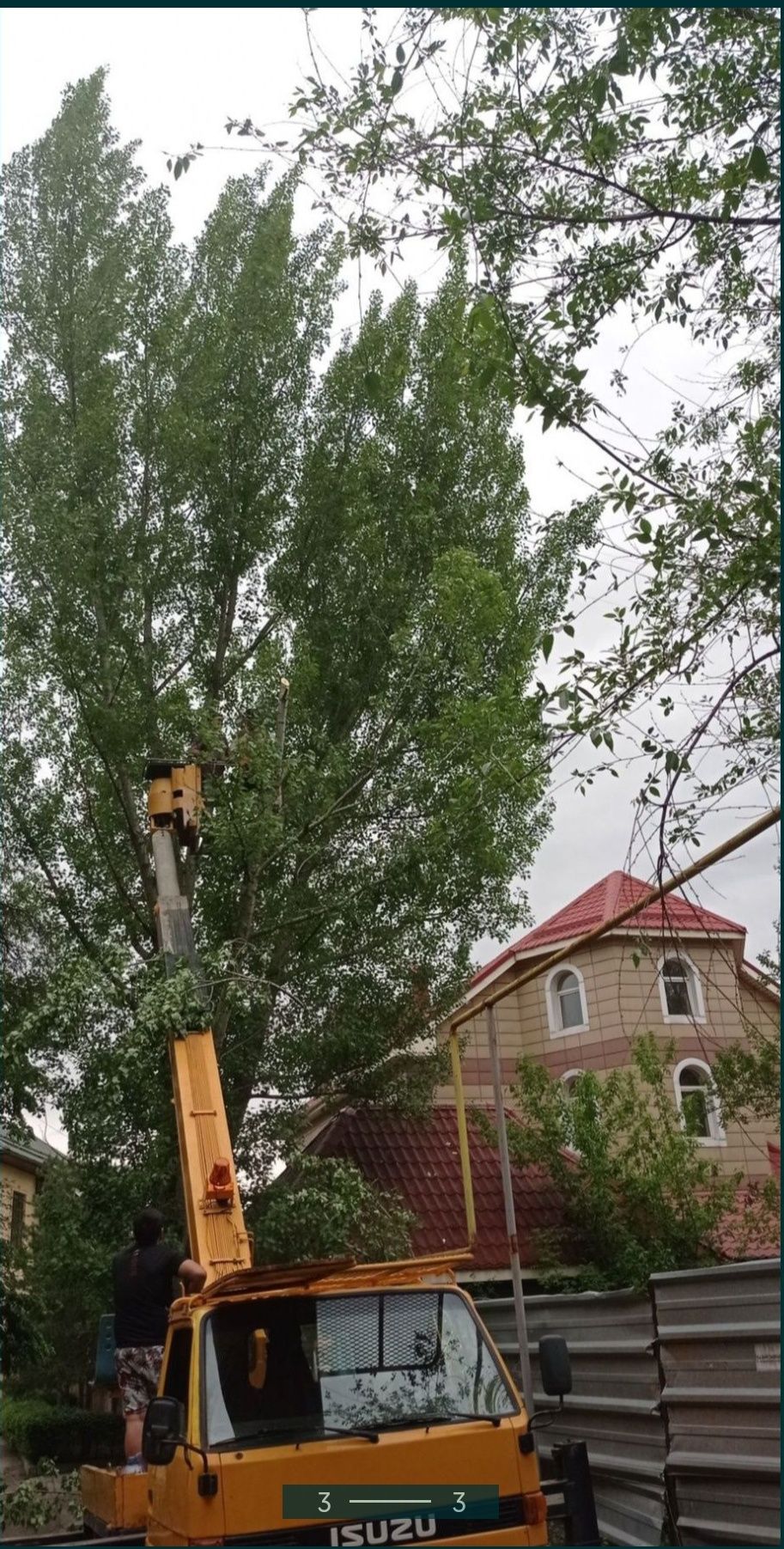 Спил деревьев, кронировака, ком. посадка деревьев, лесапотология