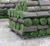 Gazon    Rulou   Direct  Producator