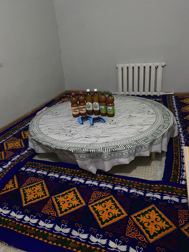 Қымыз ішіп PS5 ойна