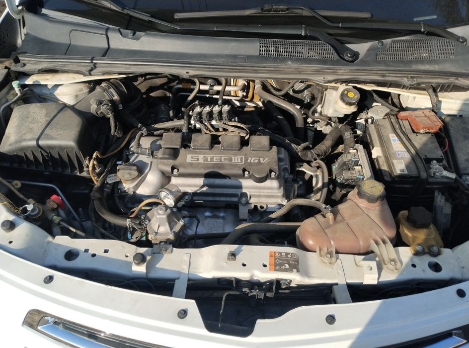 Cobalt 2022 gazi bor