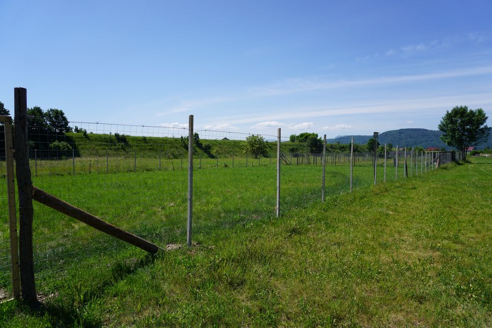 Teren de vanzare Sighet (Cămara)