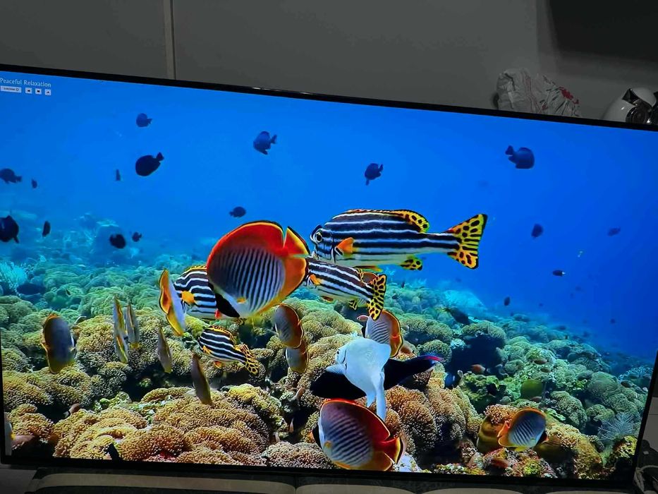 Sony XR-55A90J OLED Master Series,Sony KD-55A8G OLED