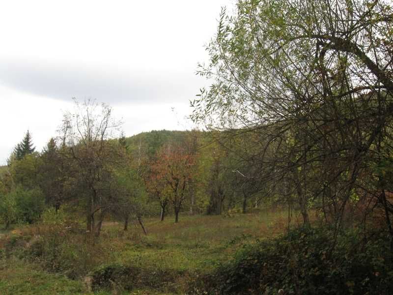 Парцел и гора във в.з. Зелин- Ботевград