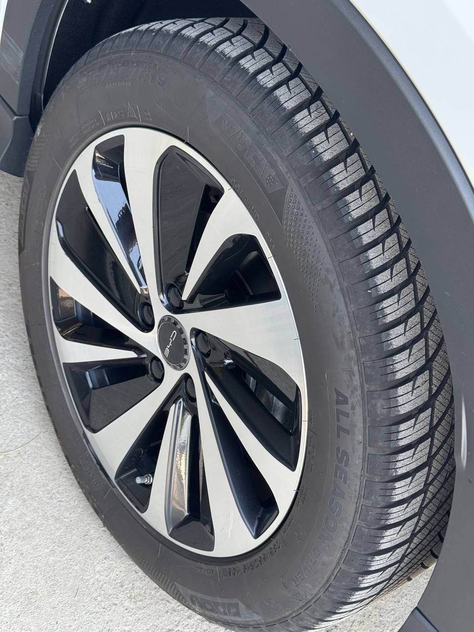 Byd champion ev 605km