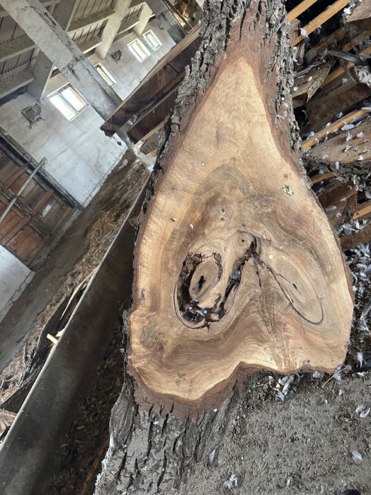 Blaturi de nuc,diferite dimensiuni