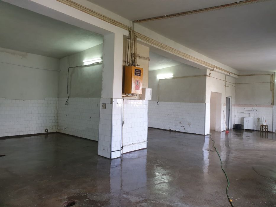 Închiriere hale – frigorifice și simple-utilități complete 300/250/140