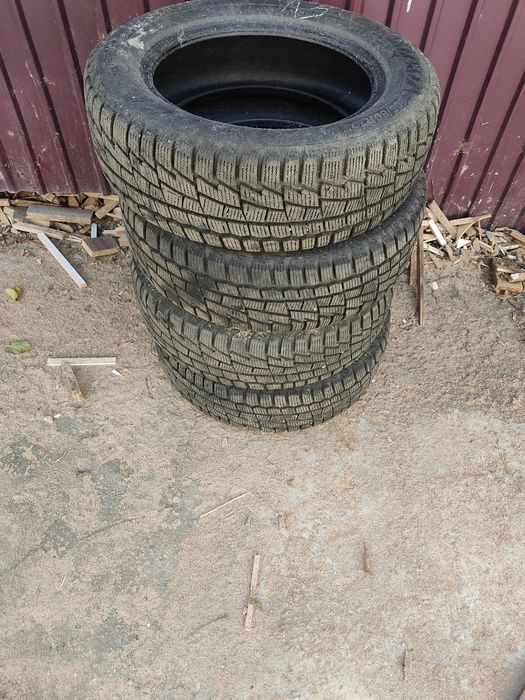 Зимние шины Cardiant