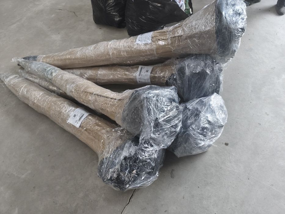 Puieți  mesteacăn fag carpen frasin tei