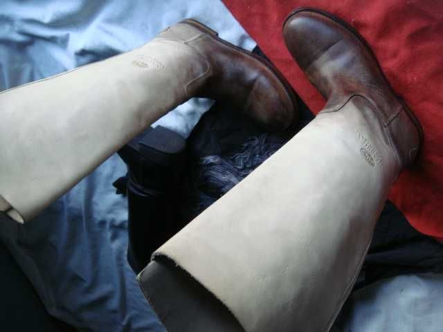 Спец обувь для конной выездки для жокеев  без замка- молнии Голландия