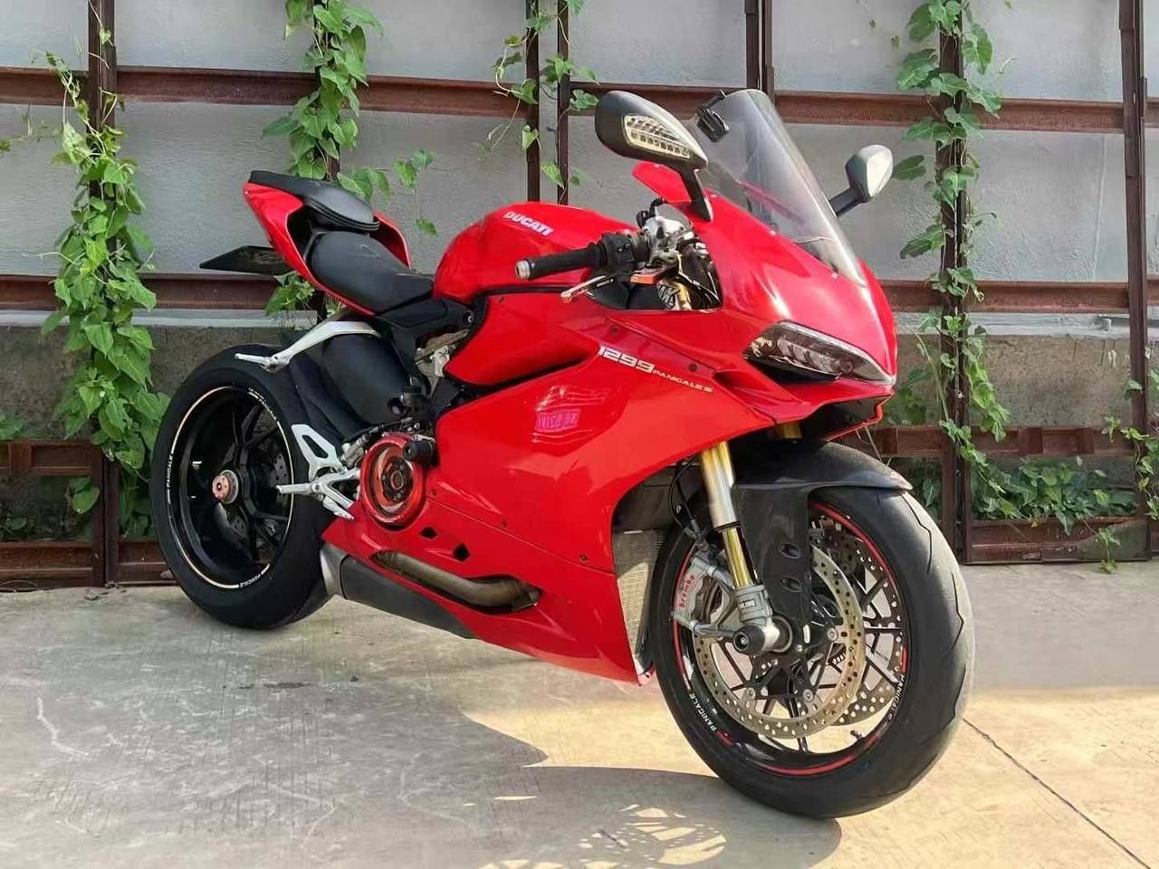 Zakazga keladi Ducati panigal V2