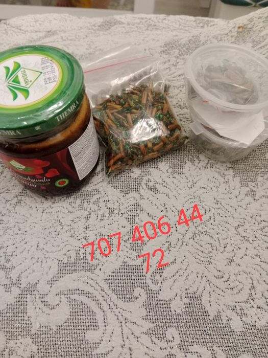 Алтын коныз Майски жук золотой жук