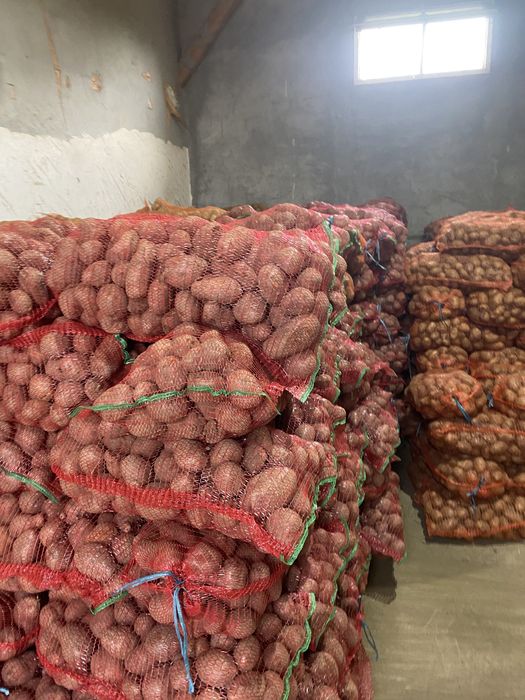 Cartofi Consum Rosu si Alb