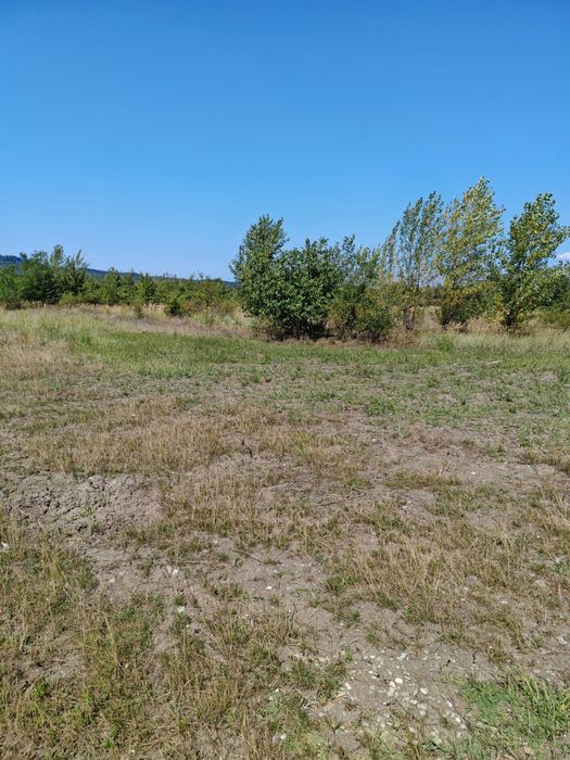 Teren intravilan Banesti-Urleta / 1500mp