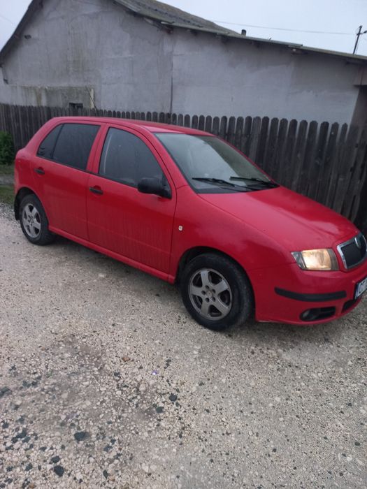 Vand skoda fabia 1