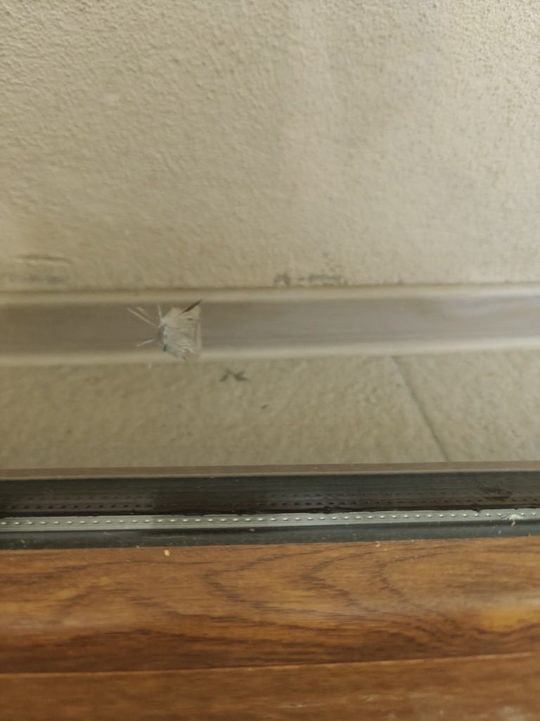 Ferestre PVC termopan cu 86 x 114 cm, dubla deschidere