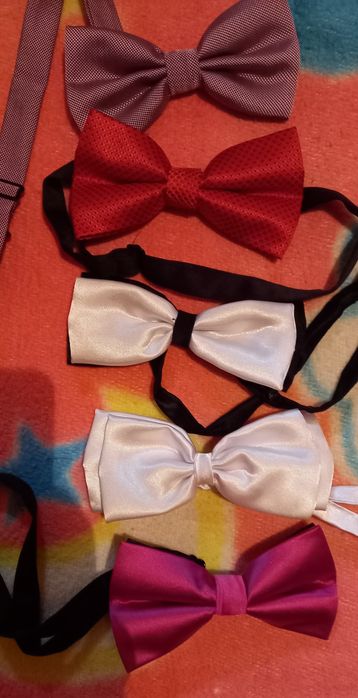 Papion nou 5 bucăți