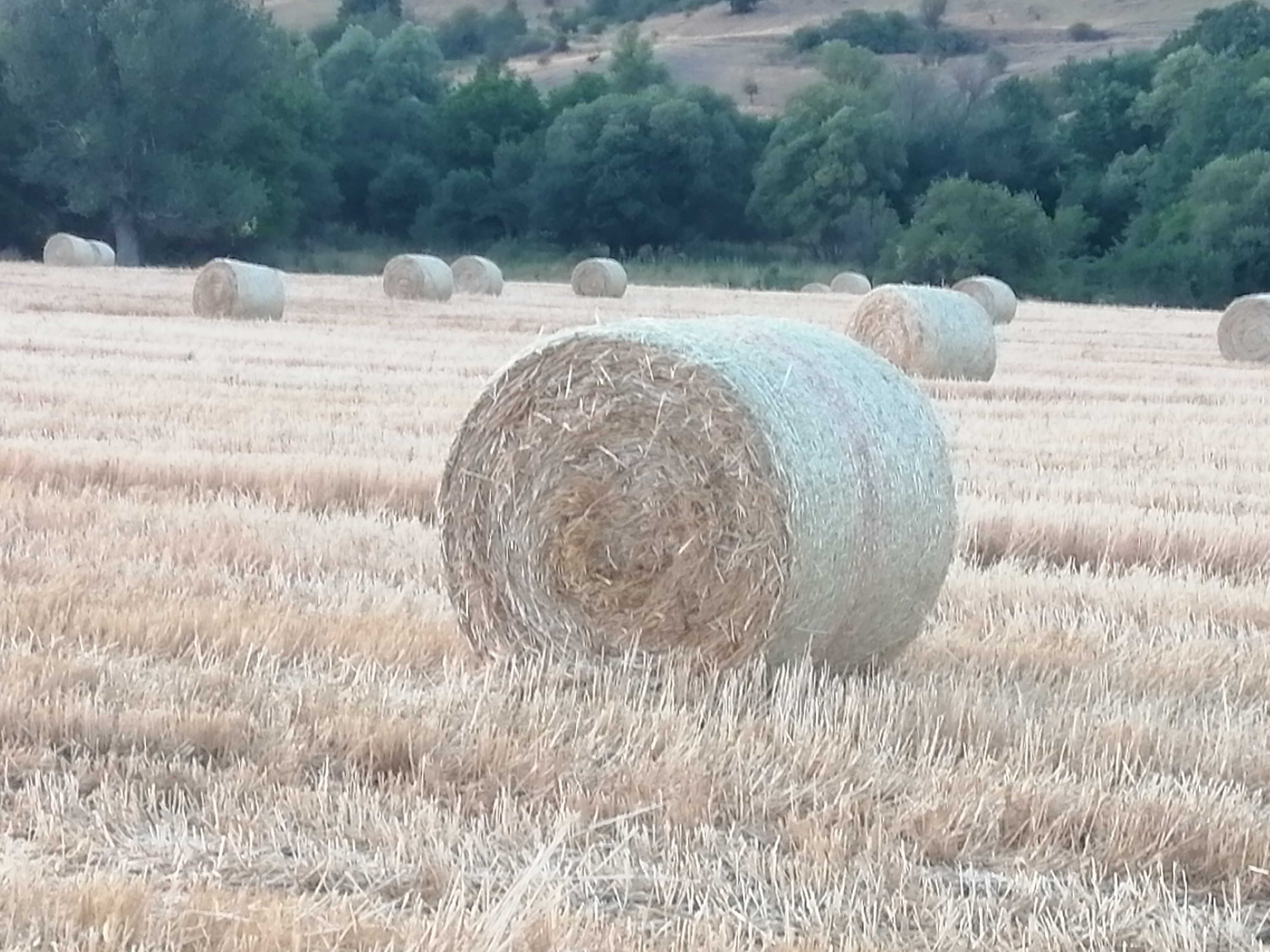 Бали  пшеничена слама