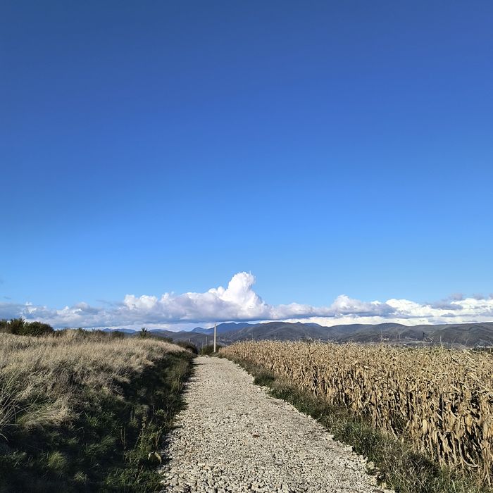 Teren Simeria pentru casă de vacanță