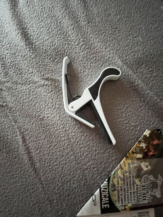 Chitara hora ne folosita