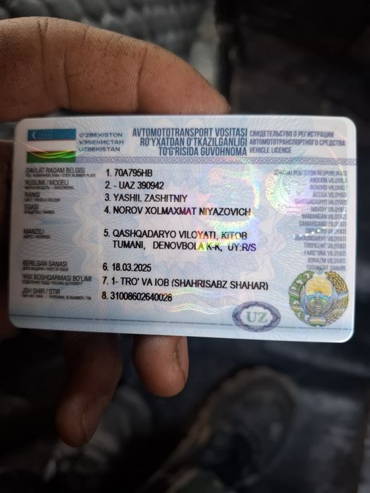 Arzon srochniga beramiz