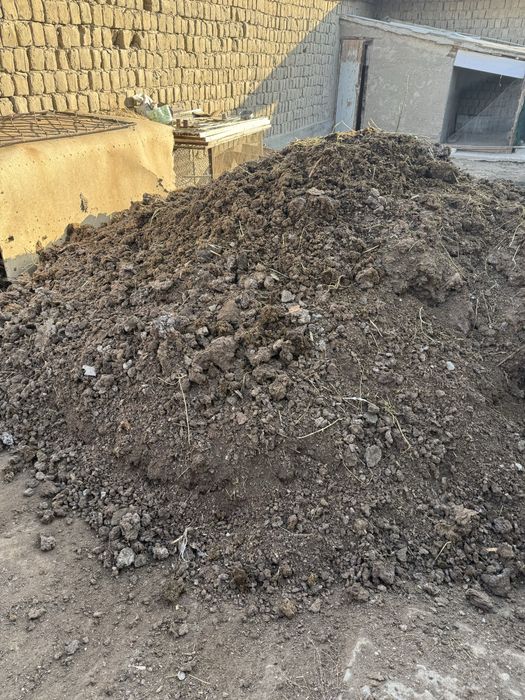 Бир зил пори, нури бор БЕПУЛ!