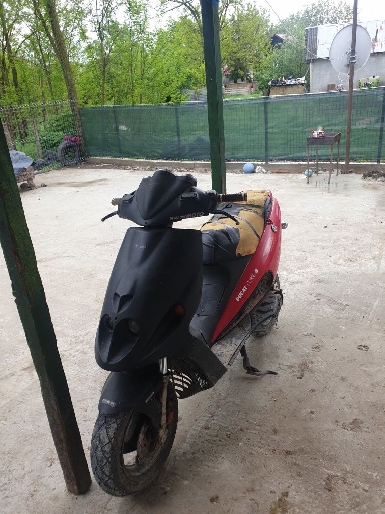 Vând malaguti f12 sau schimb