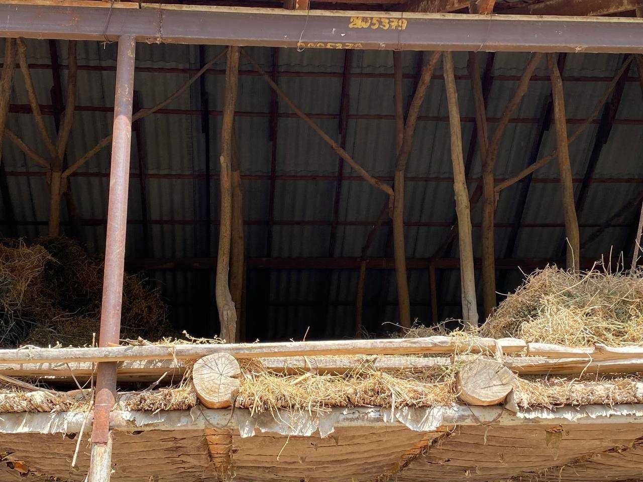 Sayxunobod tumanida molxona binosi bolib tolash sharti bilan sotiladi