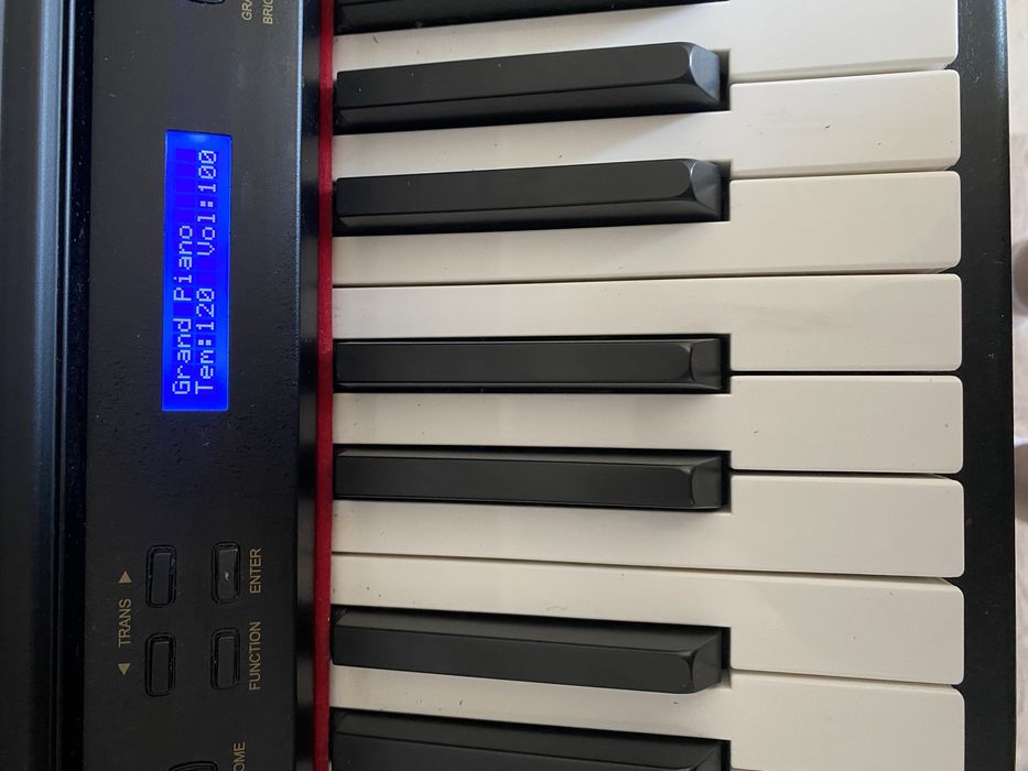 Pian Hemingway electric