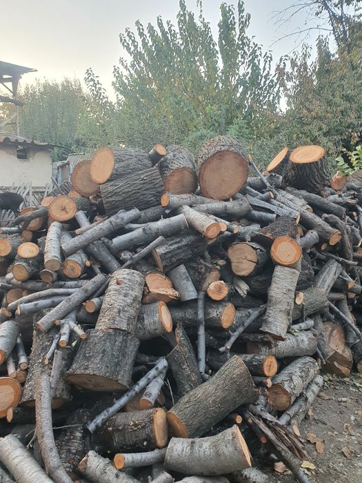 Отин сотлади яхщи отин