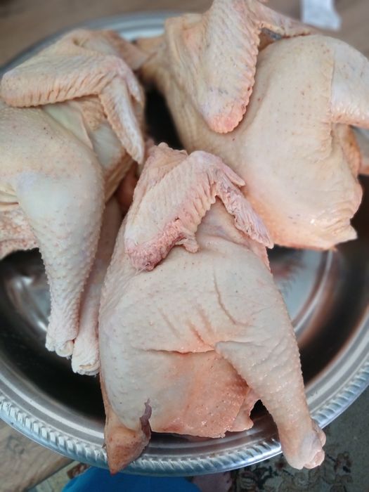 Продам тушки молодых петушков